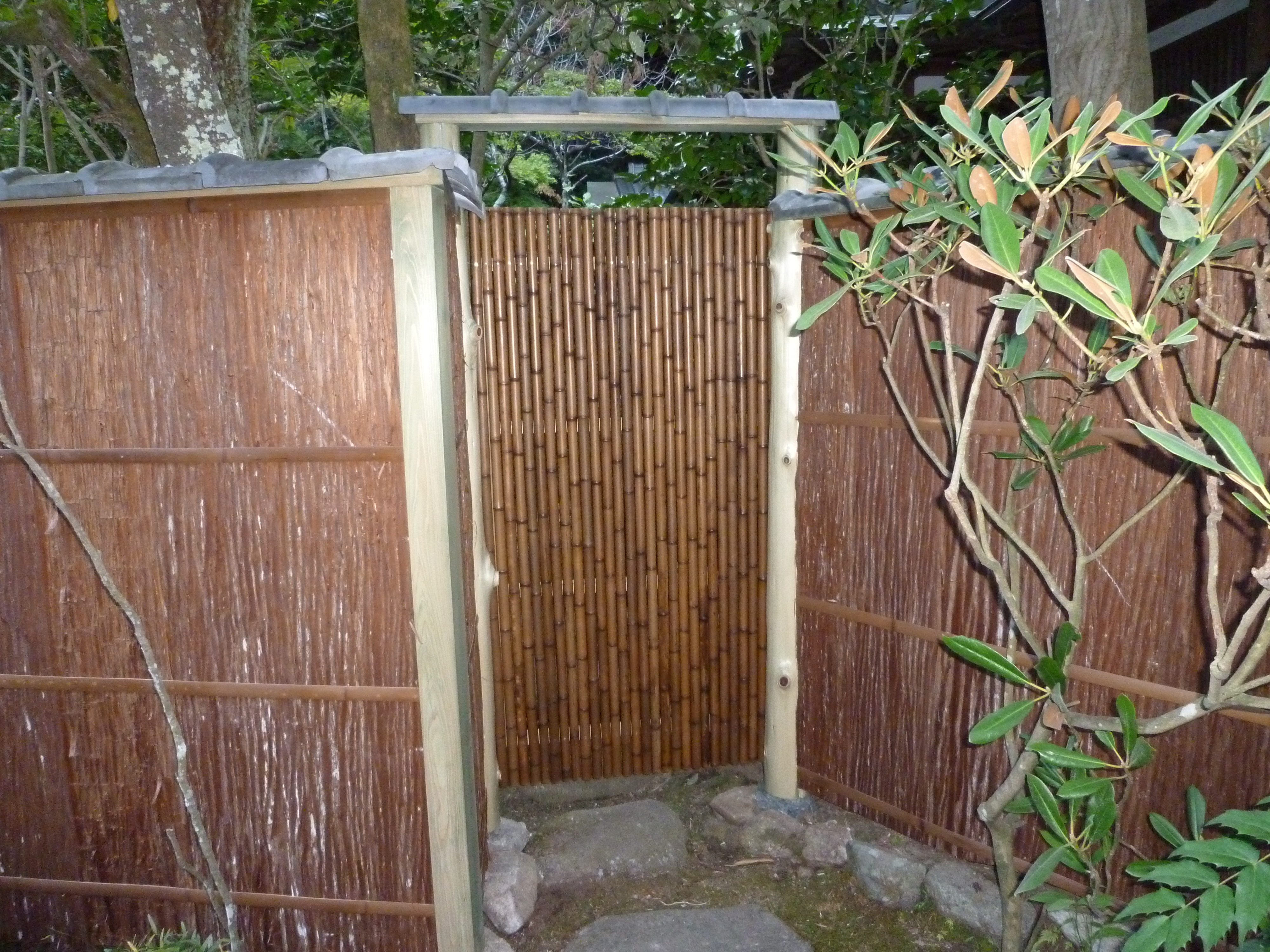 実績